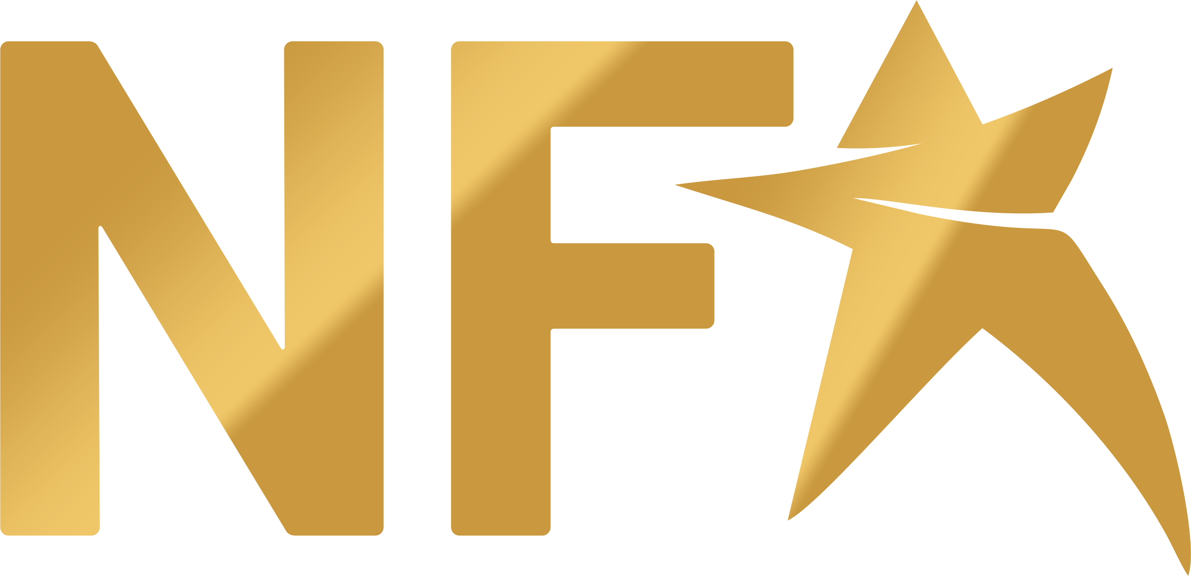 Nigerian Fitness Awards Partners and Sponsors